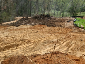 Excavating Carolinas